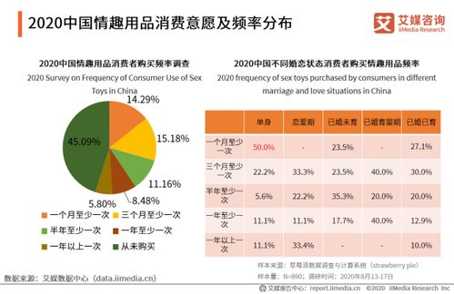情趣用品行業軟件開發 機遇與挑戰并存的藍海領域