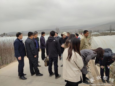 鄭州商品交易所深入天水開展馬鈴薯產業調研，助力期貨市場服務鄉村振興